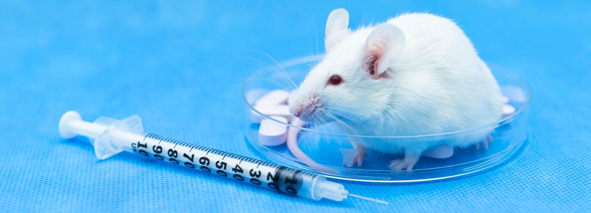 Вакцина мыши. Доклинические исследования на животных. Доклинические исследования лекарственных средств на животных. Доклинические испытания. Лабораторные мыши.